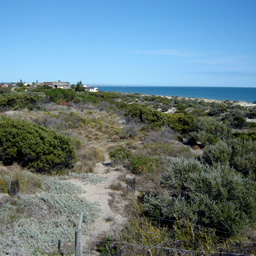 View from the Platform