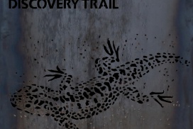 Trailhead