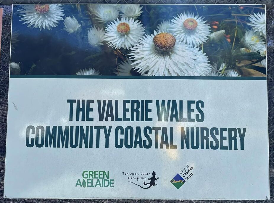 Valerie Wales Nursery sign (uncredited)