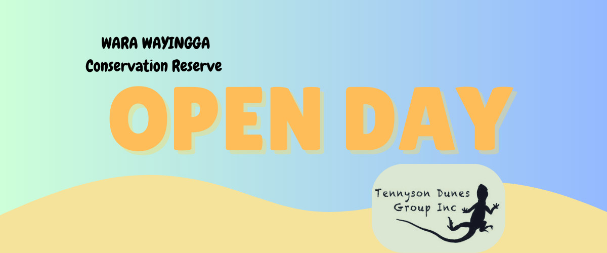 Open Day (2)