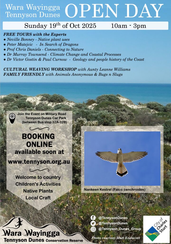 Booking will be online for Open Day tours.